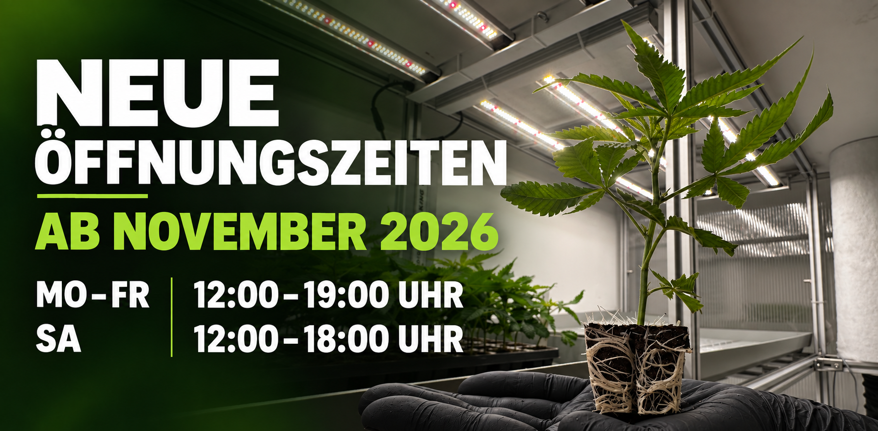 Neue Öffnungszeiten ab November 2026: Montag bis Freitag 12:00–19:00 Uhr, Samstag 12:00–18:00 Uhr