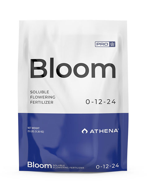 Athena | Pro Bloom