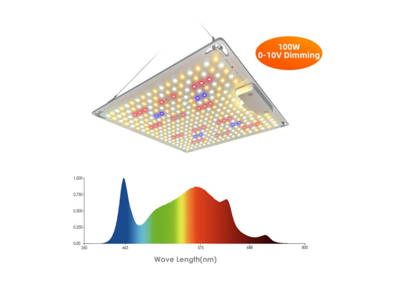 Urban Garden LED Q100W